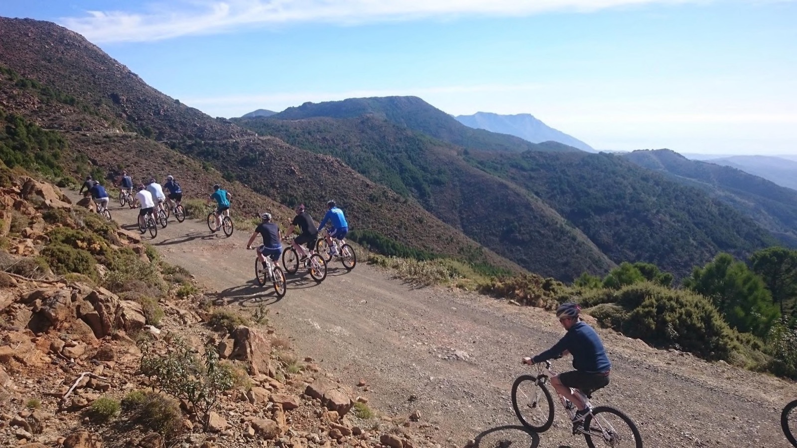 MTB Downhill