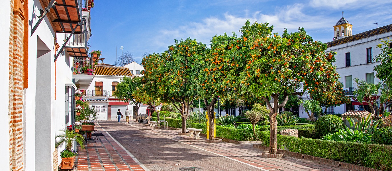 Plaza de los Naranjos